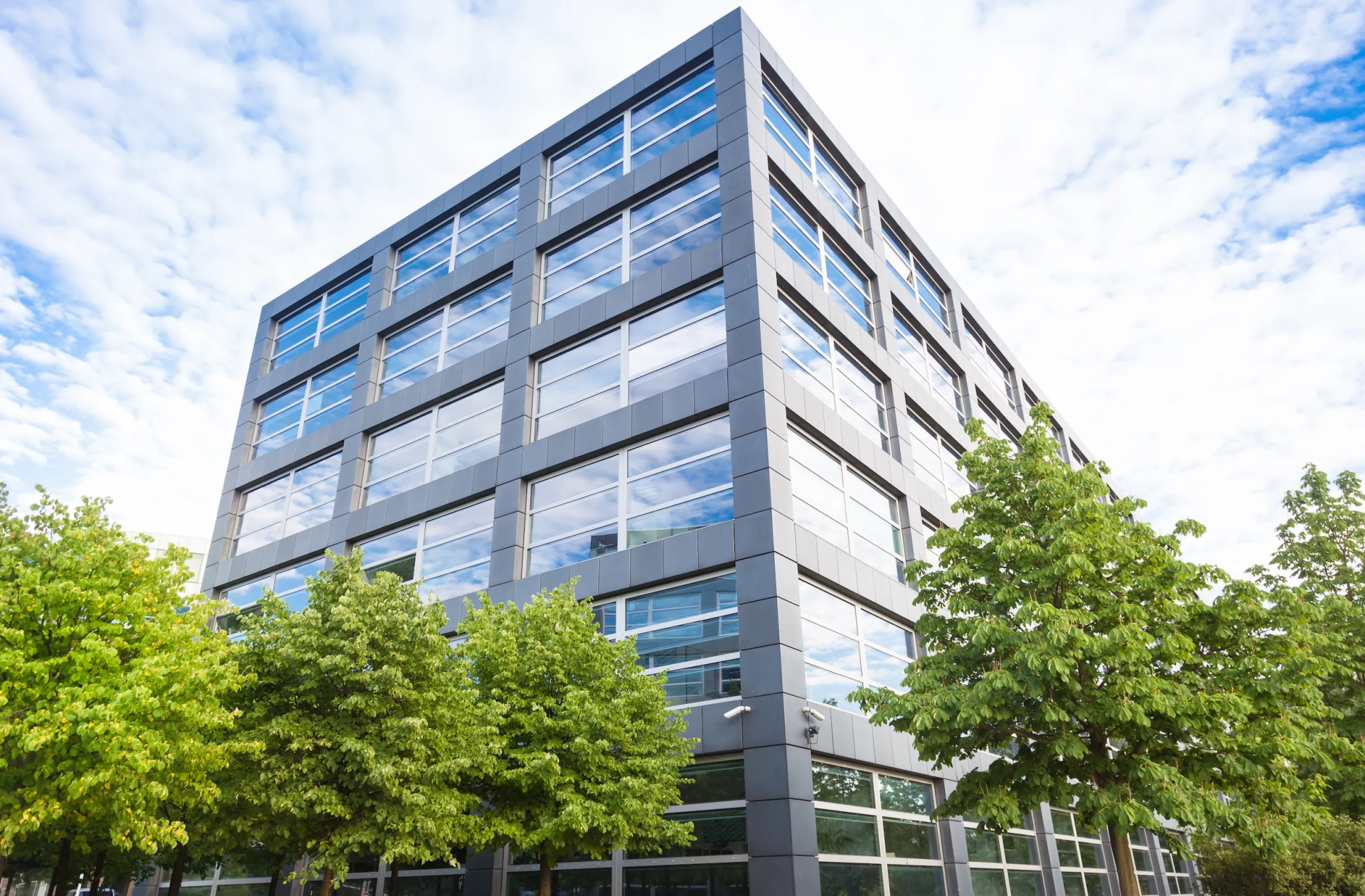 Unser Team – Immobilienberatung in Zürich und Zug